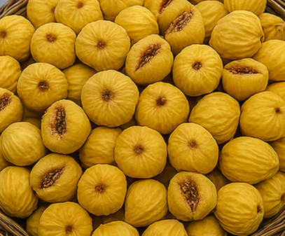 انجیر استهبان + سالم و مقوی